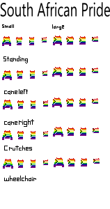 South African pride shirt
