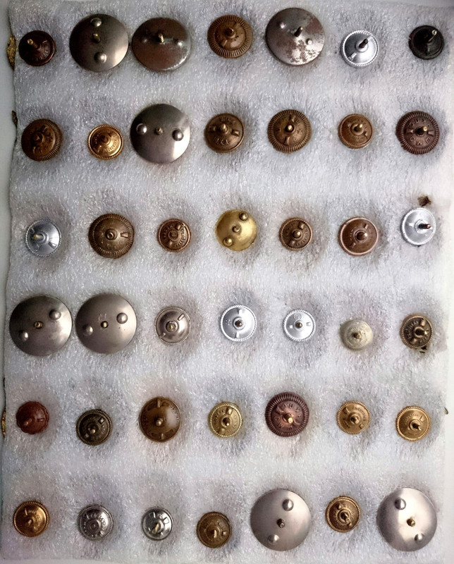 Gvardijų zakrutkės