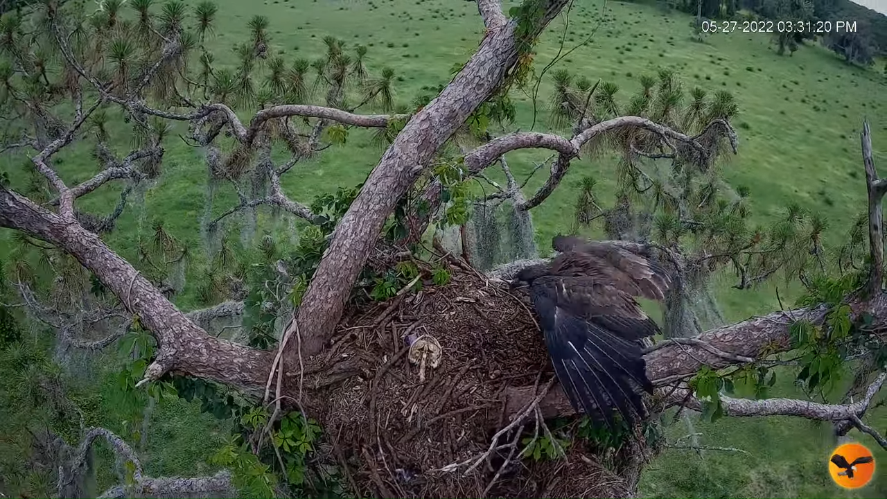 EC 4K Overhead Cam 2-14-29 screenshot