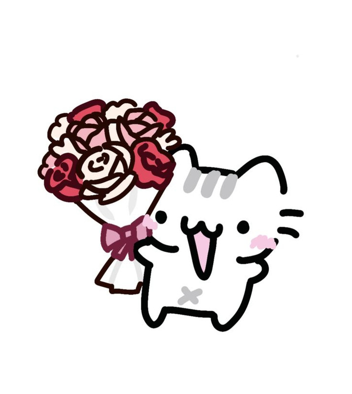 cute cat