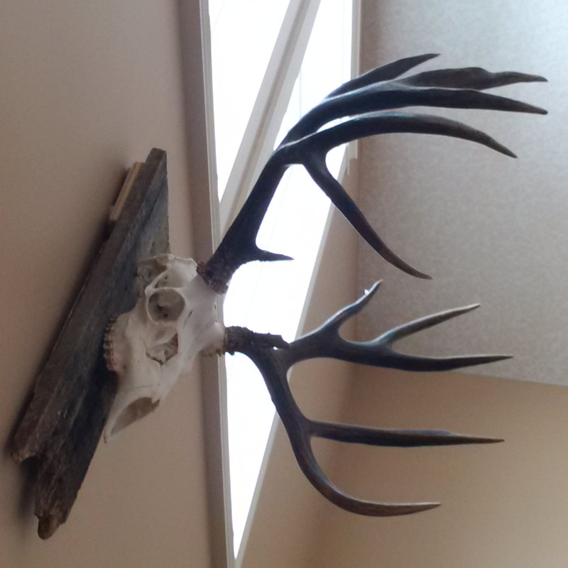 IMG_20160207_140757(1)