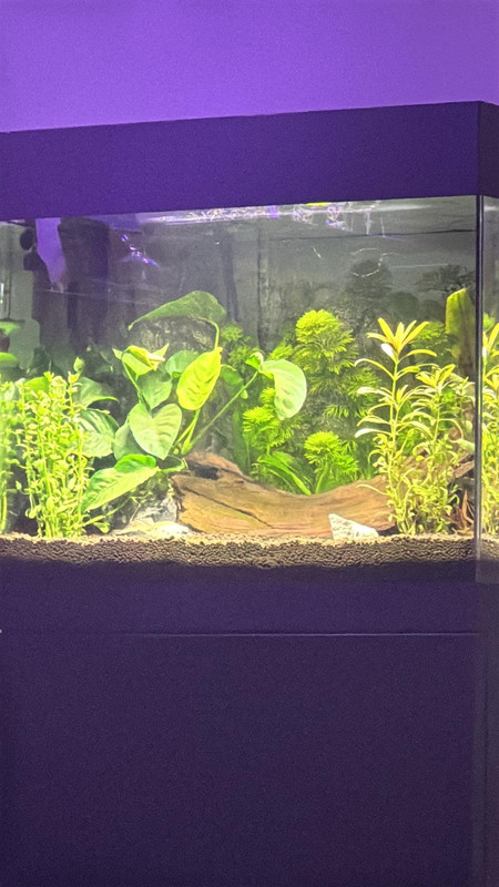 905a4503-ee60-4222-9f91-ddcc49b7534b