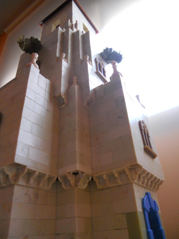 DSCN0619