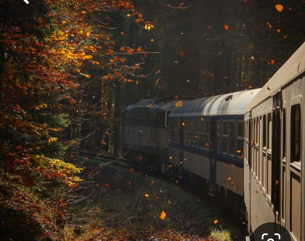 Screenshot_20231220_105405_Pinterest