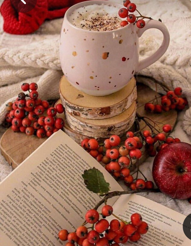 Screenshot_20230705_224416_Pinterest