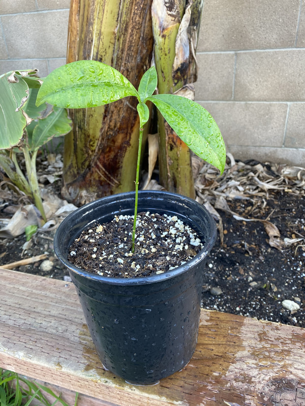 FD9B03AF-2B19-4EC5-B4F9-0C6879CC1AC5