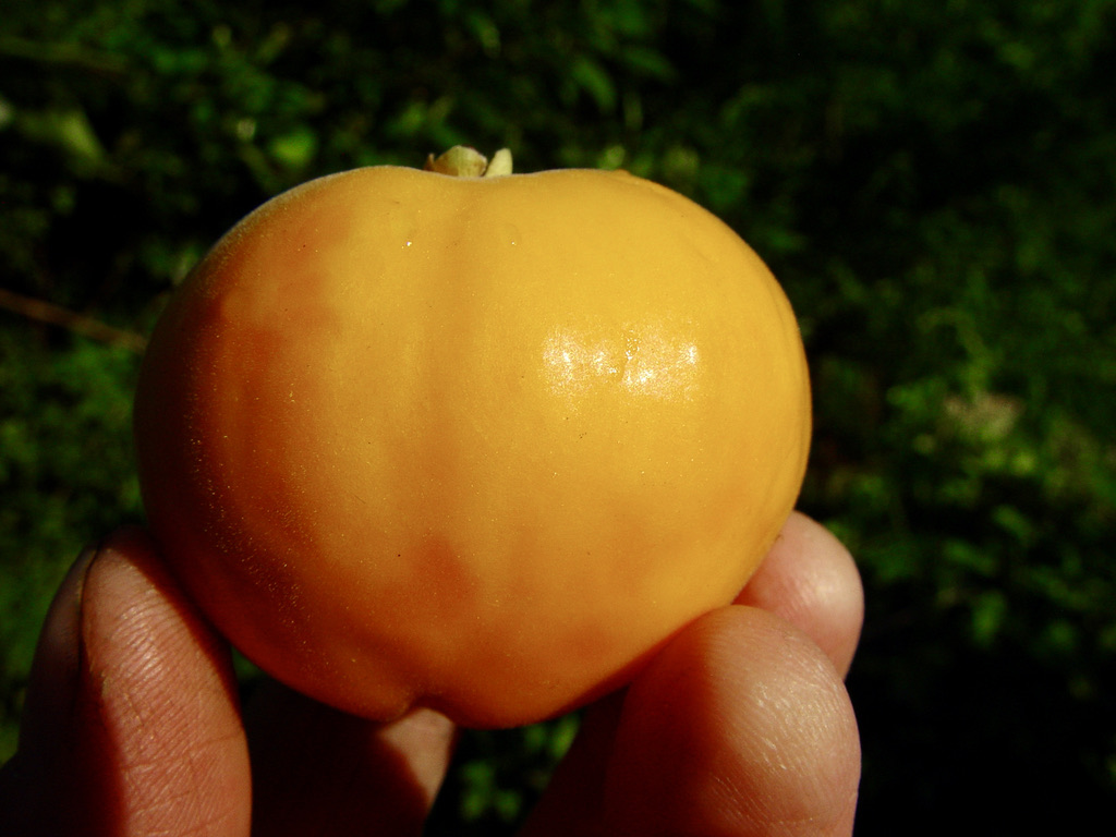 ADF23FEB-5EAD-4851-BF38-A30130505614_1_105_c