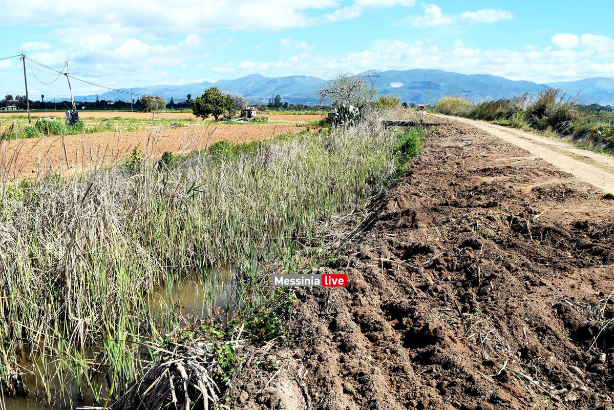 ΑΝΑΣΤΑΣΟΠΟΥΛΟΣDSC_0699