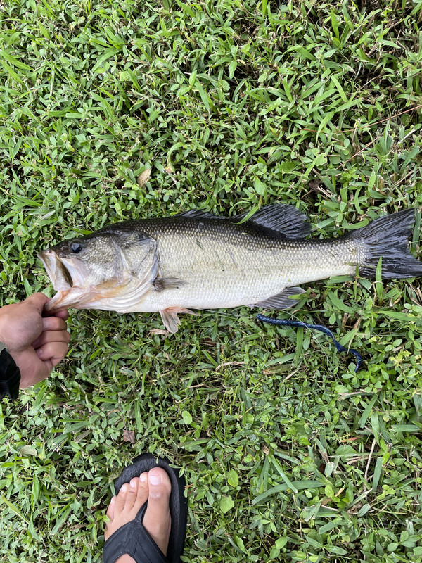 D8FBA804-0A9F-4658-9252-98C64CF7DD87