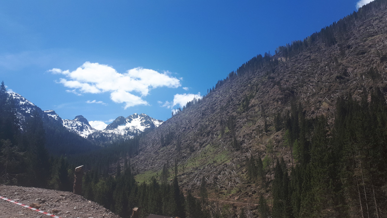 20190601_114749