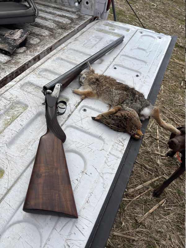 [Linked Image from i.postimg.cc]