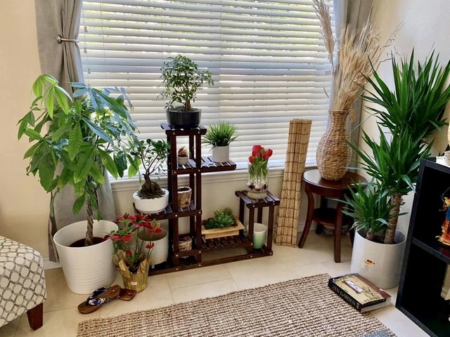 [Image: CDF291-C3-C690-4884-9-A72-D33-E0753-DF29.jpg]