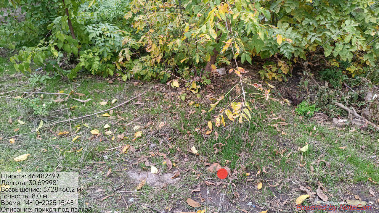 photo_2025-10-14_10-21-24