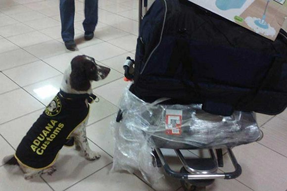 Cuba combate el tráfico y consumo de drogas