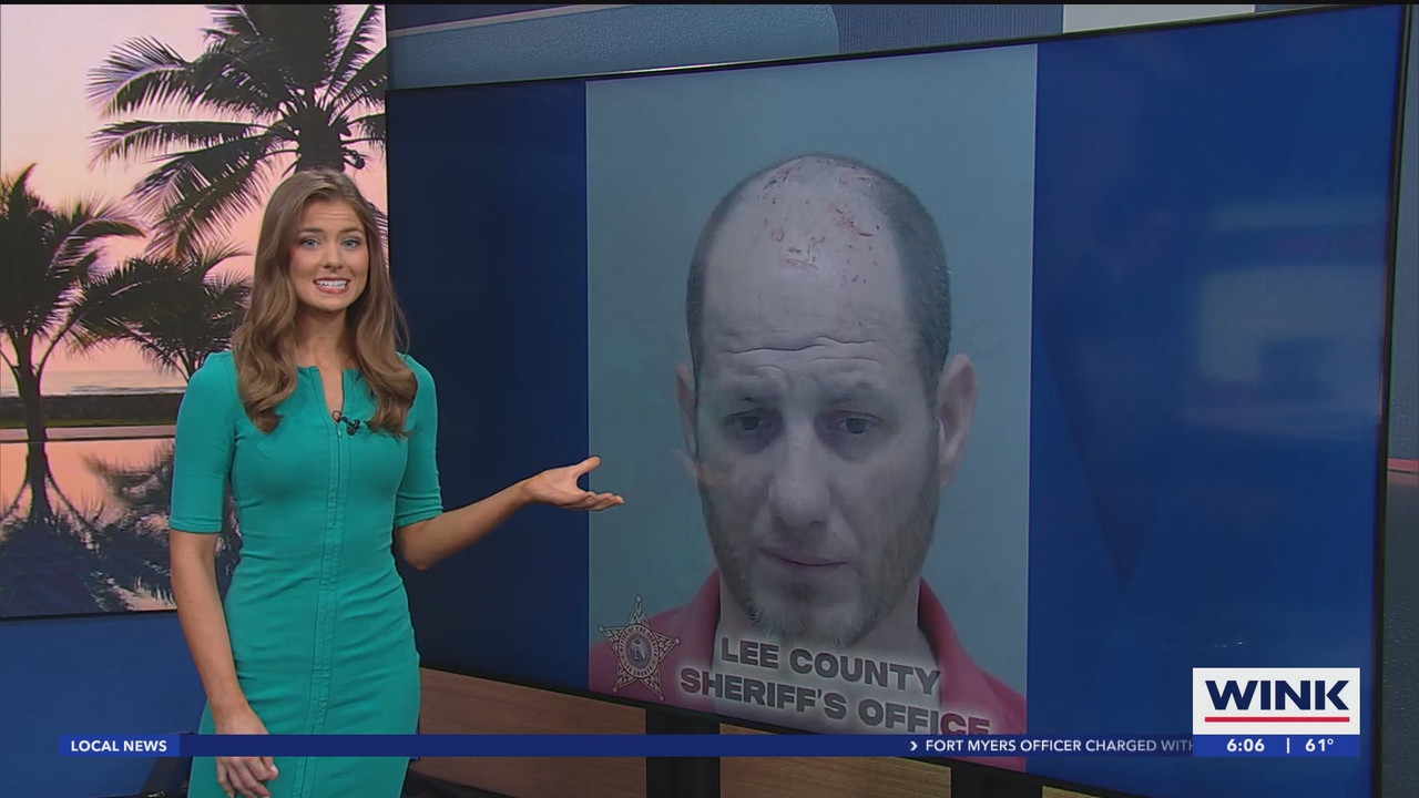 WINK News at 600am_20250227_11001130.ts_snapshot_07.44.823