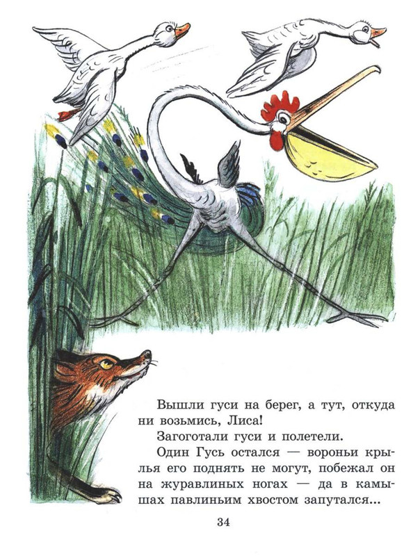 Sutejev-Vladimir-Petuh-i-Kraski-34