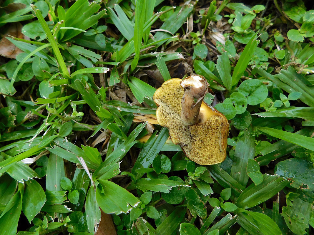 DSCN0013.jpg