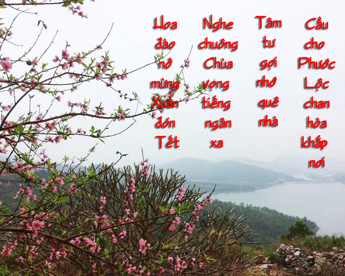 [Image: hoadaono-P1b.jpg]