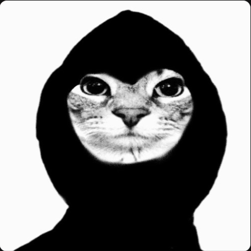 Снимок экрана 2026 04 05 222910