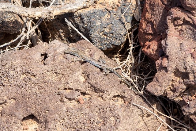 Fuerteventura - Blogs de España - VOLCAN CALDERÓN HONDO, FARO DEL TOSTON, EL COTILLO (7)