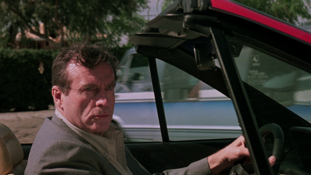 vlcsnap-2025-01-14-09h10m40s339