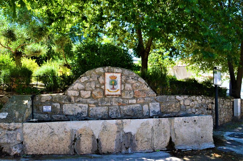 Madrid y sus pueblos-2000/2022 - Blogs of Spain - OLMEDA DE LAS FUENTES-5-6-2020 (29)