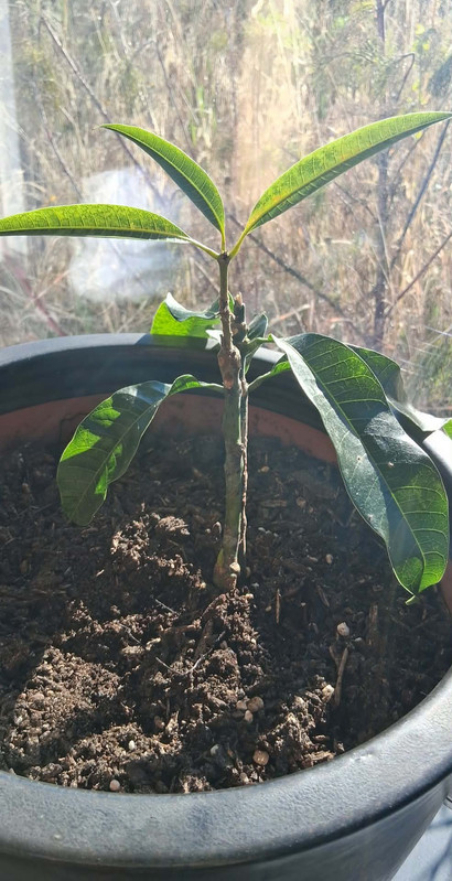 cedbc39c 569d 4450 86d4 6959d2902ef2