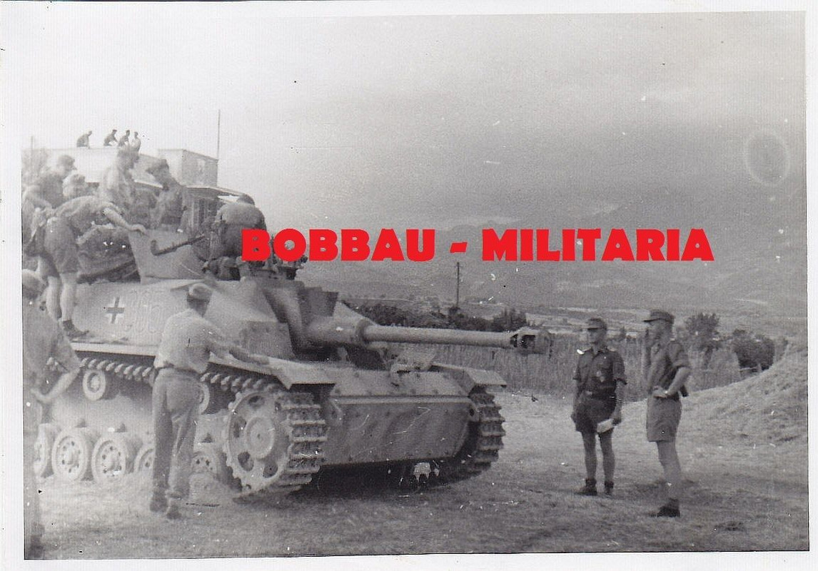 Sturmgeschütz-Brigade 201 STUG III Langrohr Grie