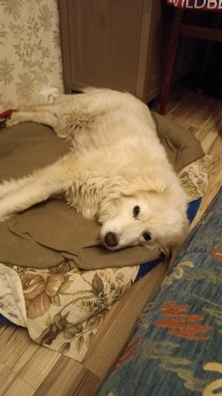 7F6DA453-709D-4451-A2BE-79CA675E4362