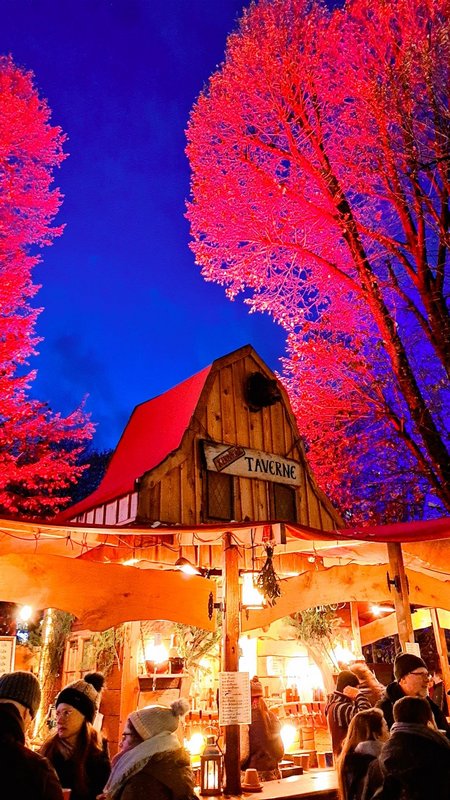 Berlín a nuestro aire - De Berlín a Sajonia: la magia de la Navidad (27)