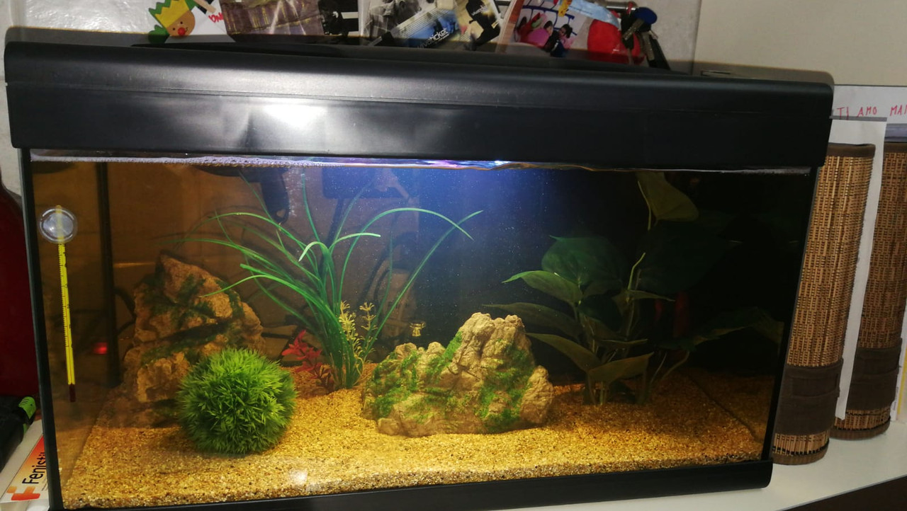 B676DE10-314C-4EF5-9420-EC4C2FB55731