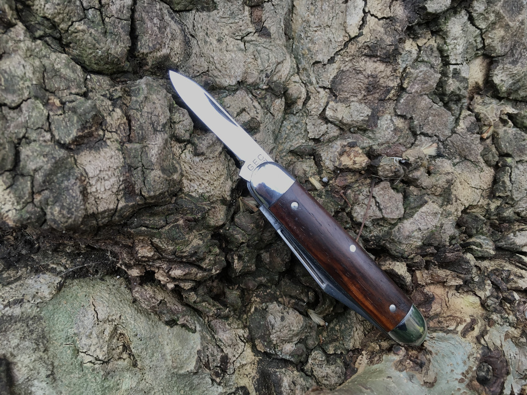 2D21C51A-7CA1-45BD-AA07-2354B2F6DCC2