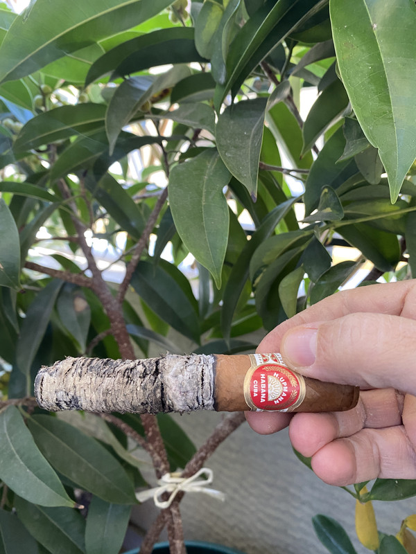 62378362-A79D-4B07-A4BD-0021BE8CD8CB