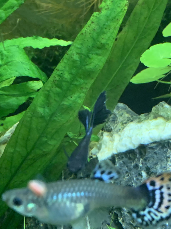 1F4BF0E2-4DBE-4A17-A5E2-C36C03DFA9F8