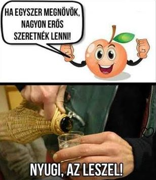 https://i.postimg.cc/NMBgpTCp/haegyszer-megnovok.jpg