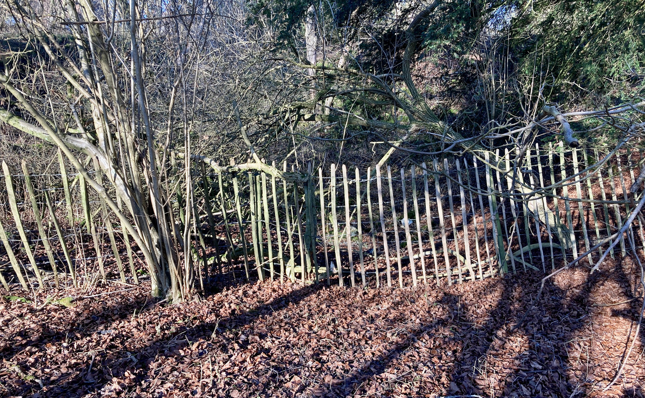 8F6128BA-C2BE-400D-9C4C-EE9899B85F18