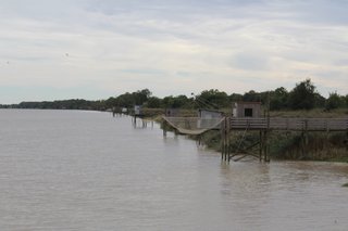 Llegada y margen izquierdo - Gironde, esa gran desconocida (6)