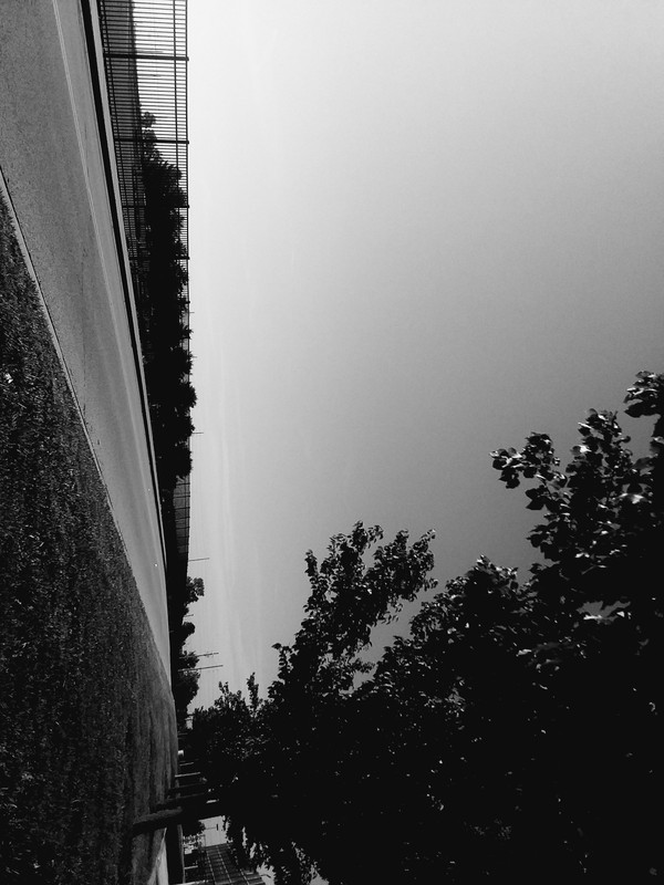 20180523_084454