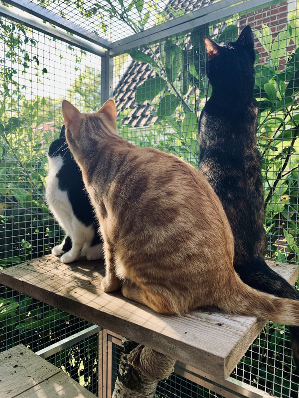 F30F2FC6-8A65-4BB3-85C4-A9242282D4D7