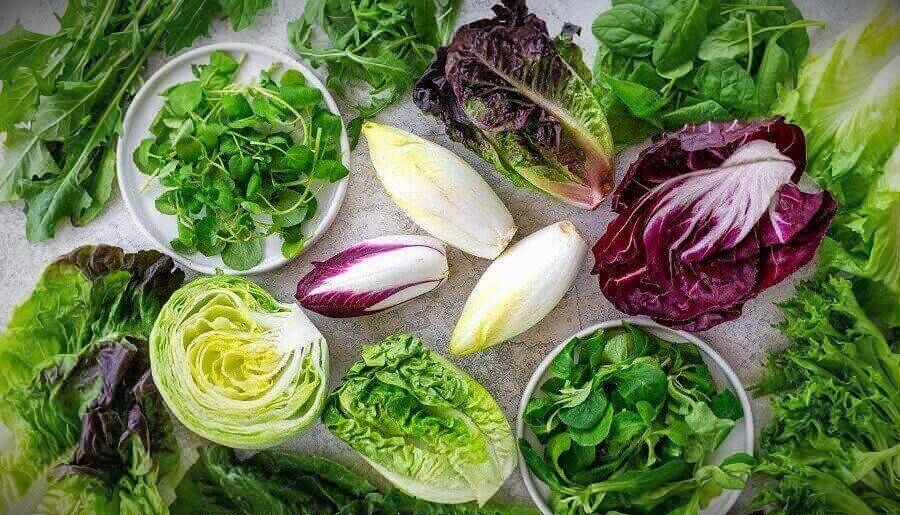 Польза и вкусовые качества разных видов листового салата