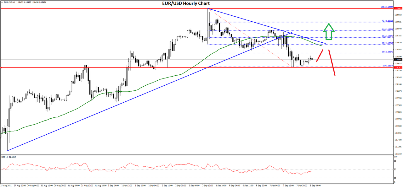 Daily Market Analysis By FXOpen in Fundamental_EURUSD-Chart-1