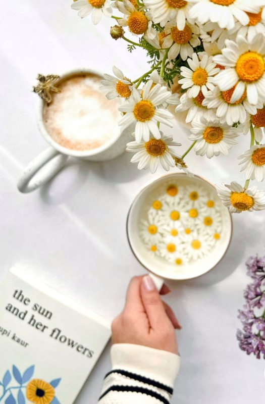 Screenshot_20230130_002859_Chrome