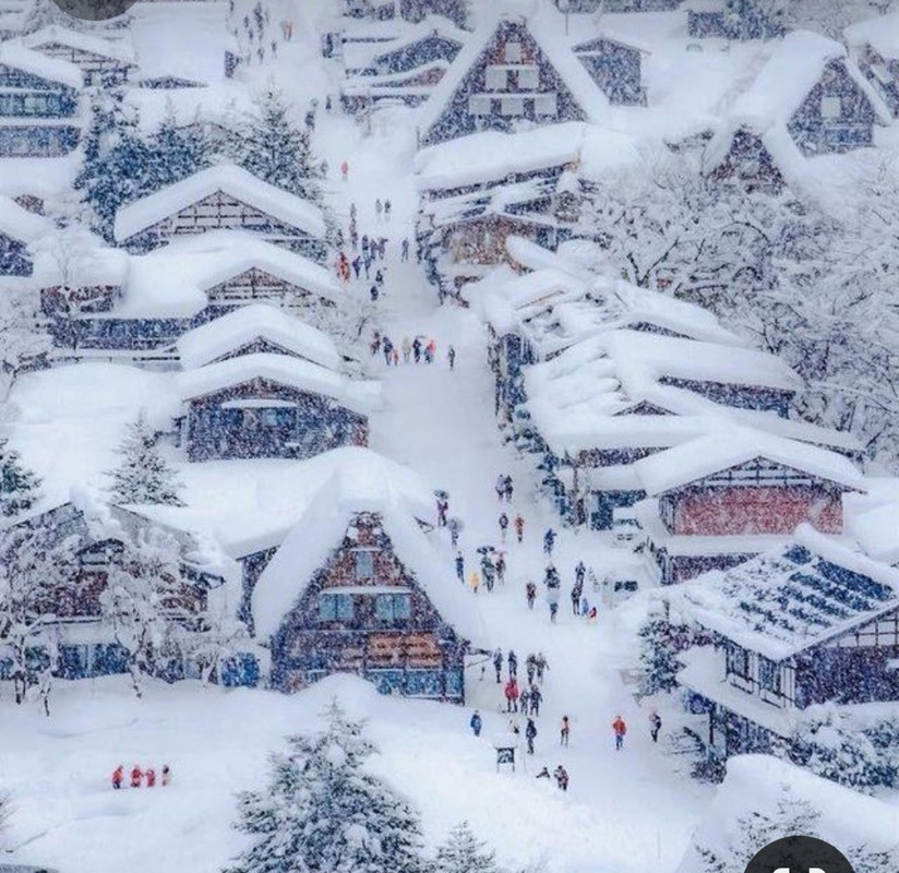 Screenshot_20230306_002045_Pinterest