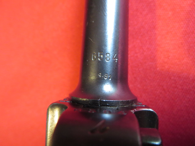 IMG-3713