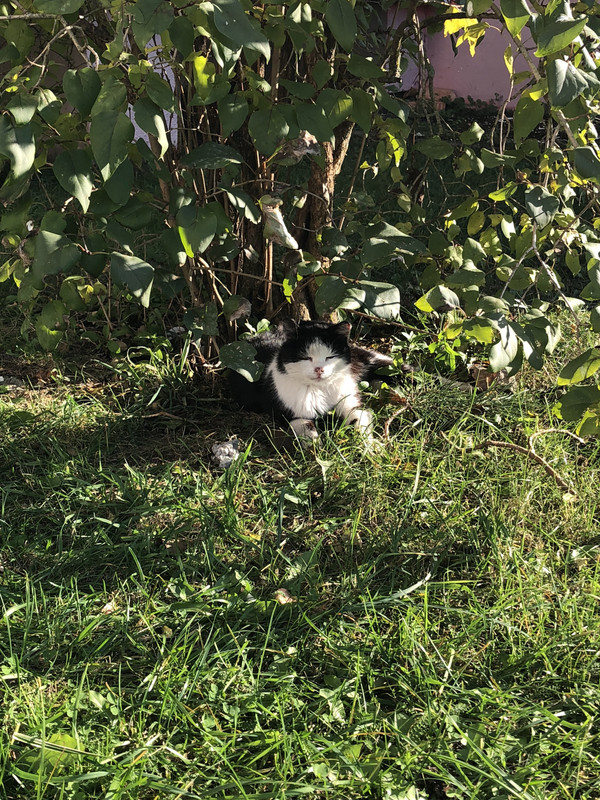 3B83AED6-882A-4B95-A862-B5DDF480FDBB