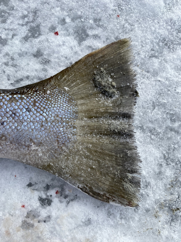 4A0CF677-71AD-4B9F-8F4F-EA2026F2EE8F