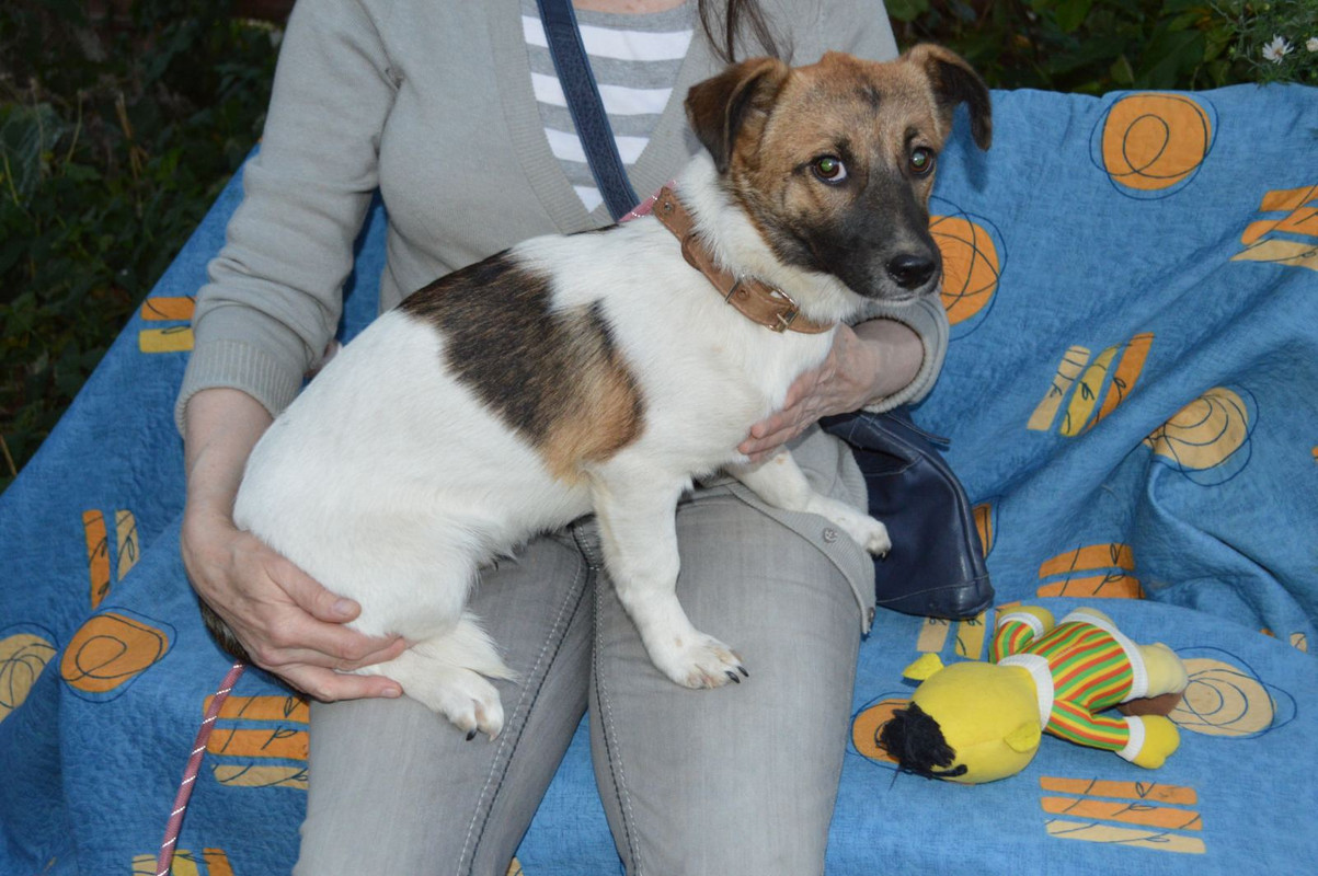 IMG-e55b11fe32f114aabfd12559df9ca180-V