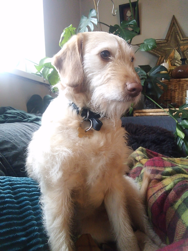 IMG 2023 03 13 15 08 31 101