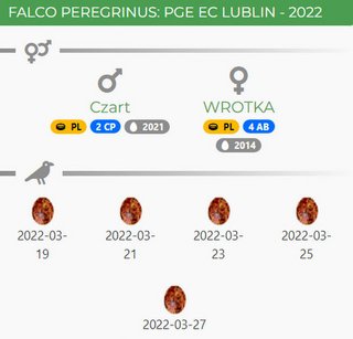 PGE. Lublin. Przechwytywanie-w-trybie-pe-noekranowym-03-04-2022-094807