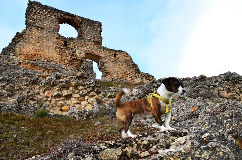 Beleña de Sorbe-14-2-2015 - Guadalajara y sus pueblos-2010/2023 (6)